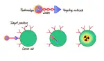 Workshop on Medical Applications of Radioactive Nuclides